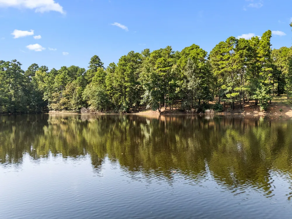 1081 County Road 3875 Mineola, TX 75773