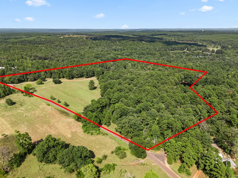 1081 County Road 3875 Mineola, TX 75773