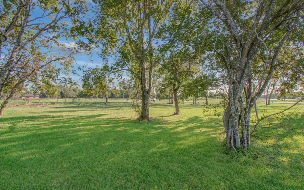 Fm 517 League City, TX 77551