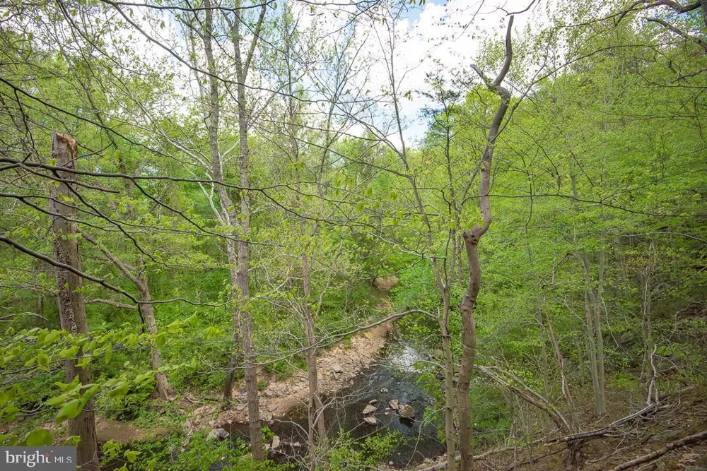 7322 LACKAWANNA DRIVE Springfield, VA 22150