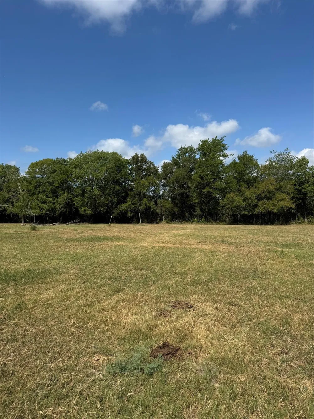 2 Fm 3060 Midway, TX 75852