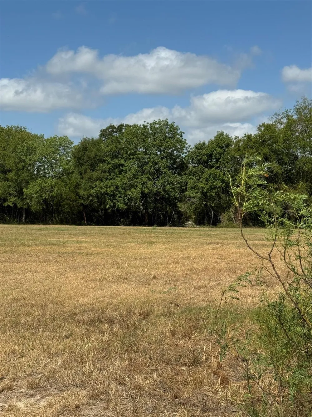 2 Fm 3060 Midway, TX 75852