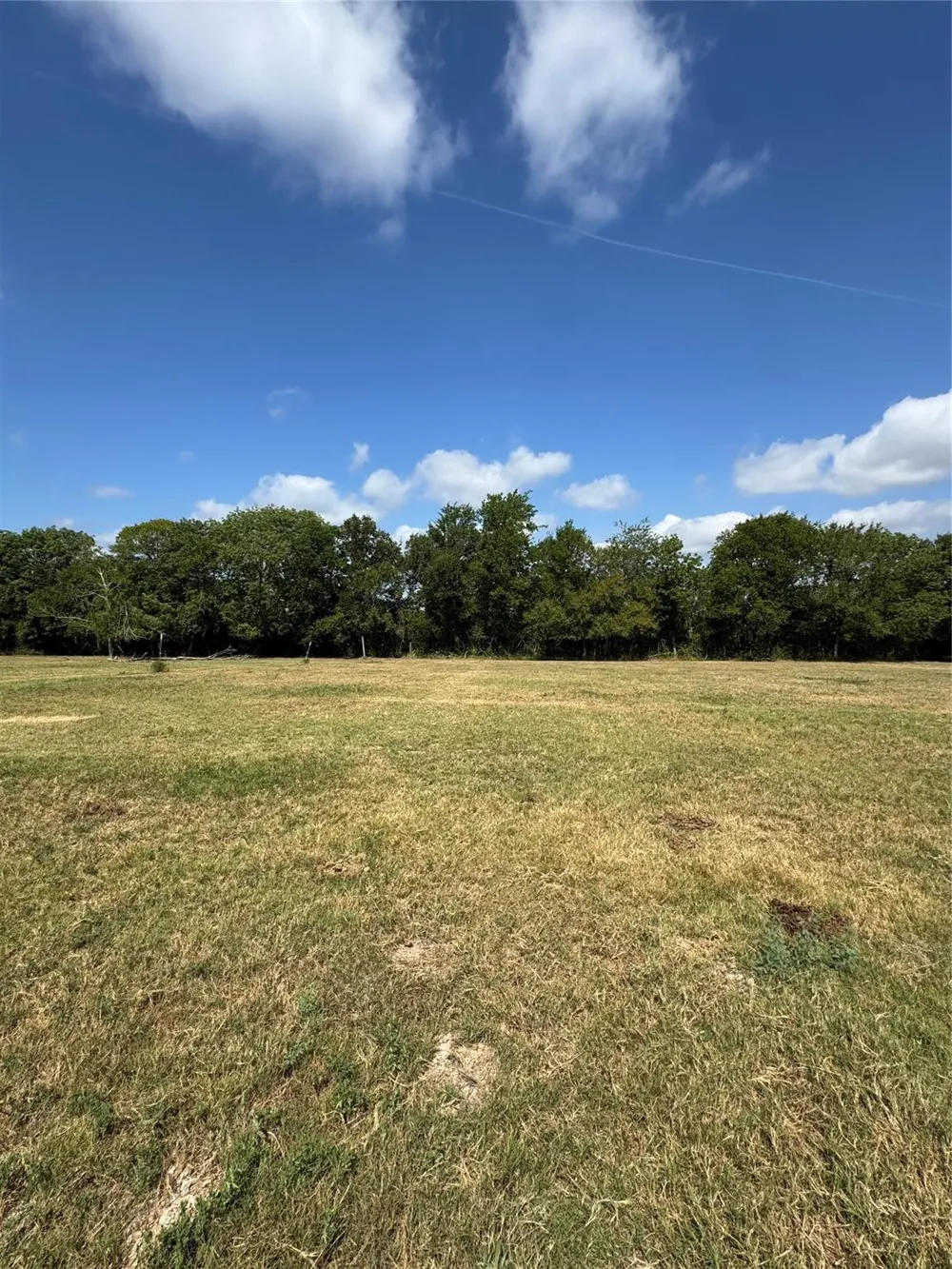 2 Fm 3060 Midway, TX 75852