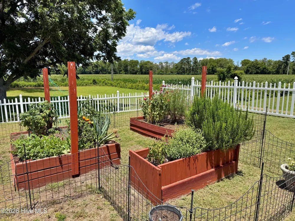 481 River Road Arapahoe, NC 28510