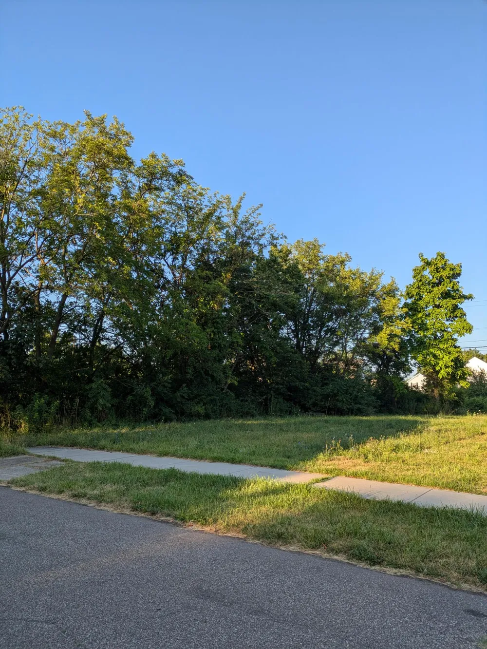 3973 16th Street Detroit, MI 48208
