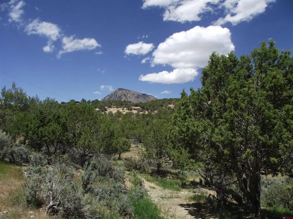 42996 Needle Rock Road Crawford, CO 81415