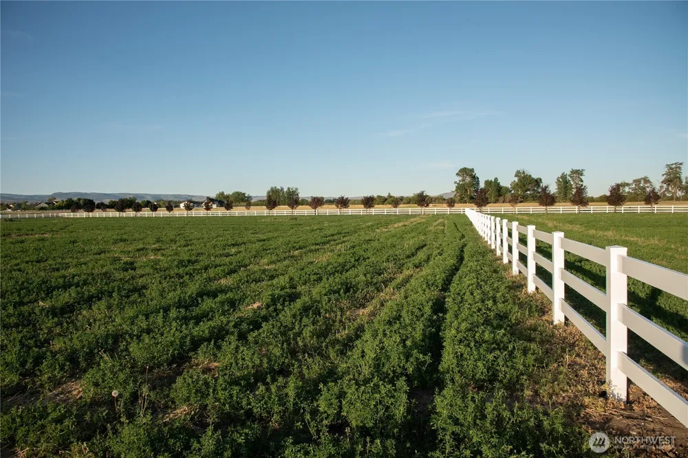 2 B Look Road Ellensburg, WA 98926