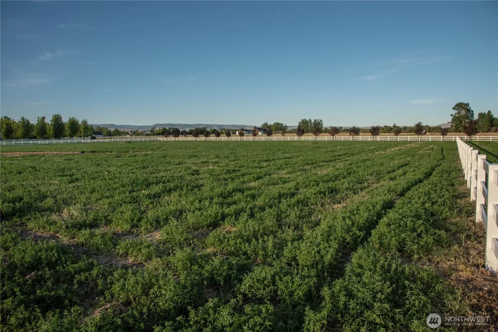 2 B Look Road Ellensburg, WA 98926