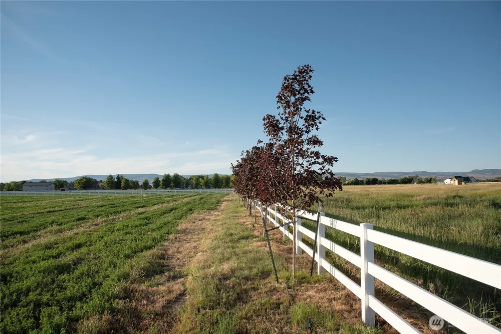 4 B Look Road Ellensburg, WA 98926
