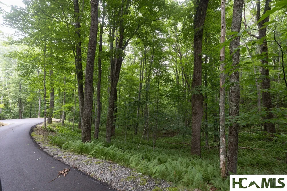 Lot 7 Sori Lane Sapphire, NC 28774