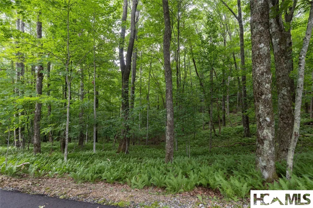 Lot 7 Sori Lane Sapphire, NC 28774