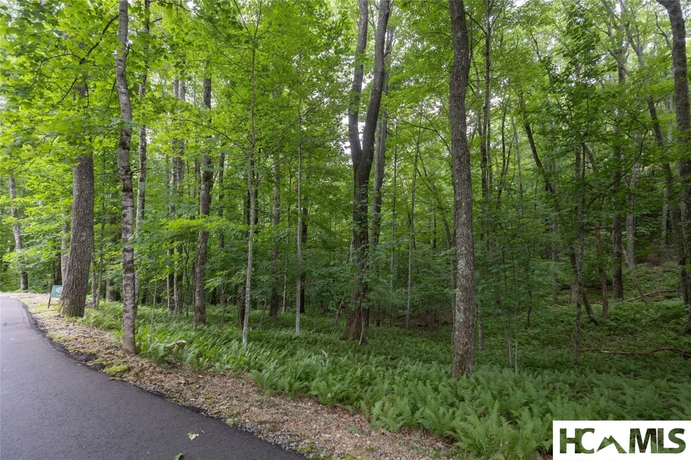 Lot 7 Sori Lane Sapphire, NC 28774