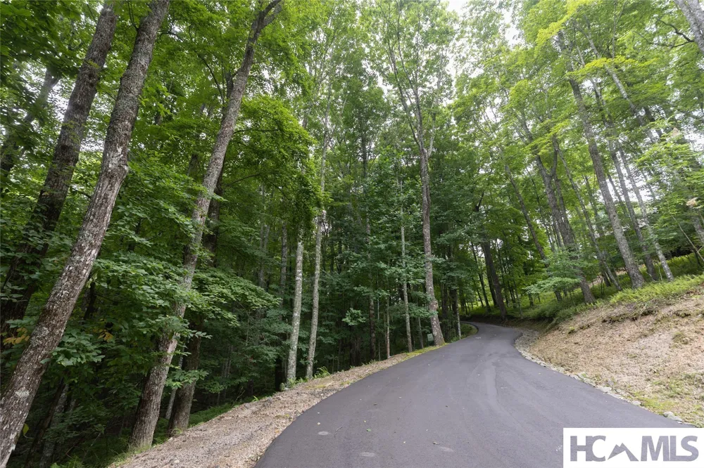 Lot 7 Sori Lane Sapphire, NC 28774