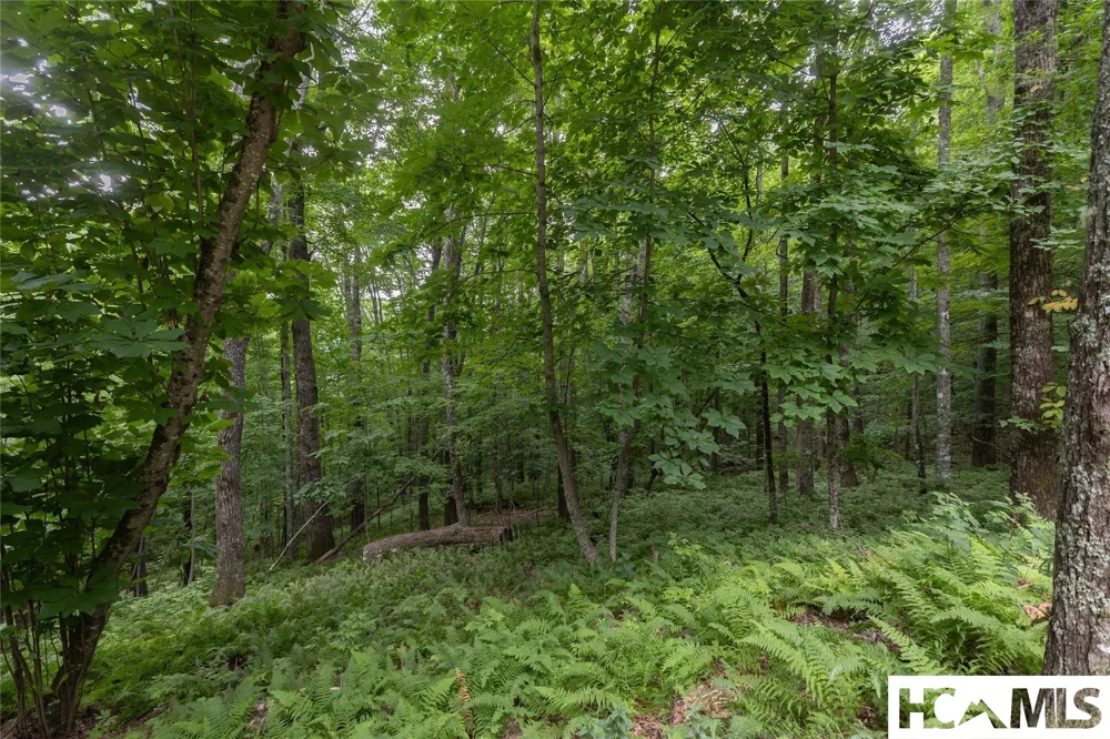 Lot 7 Sori Lane Sapphire, NC 28774