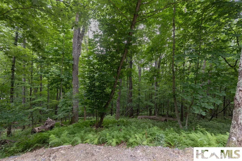 Lot 7 Sori Lane Sapphire, NC 28774