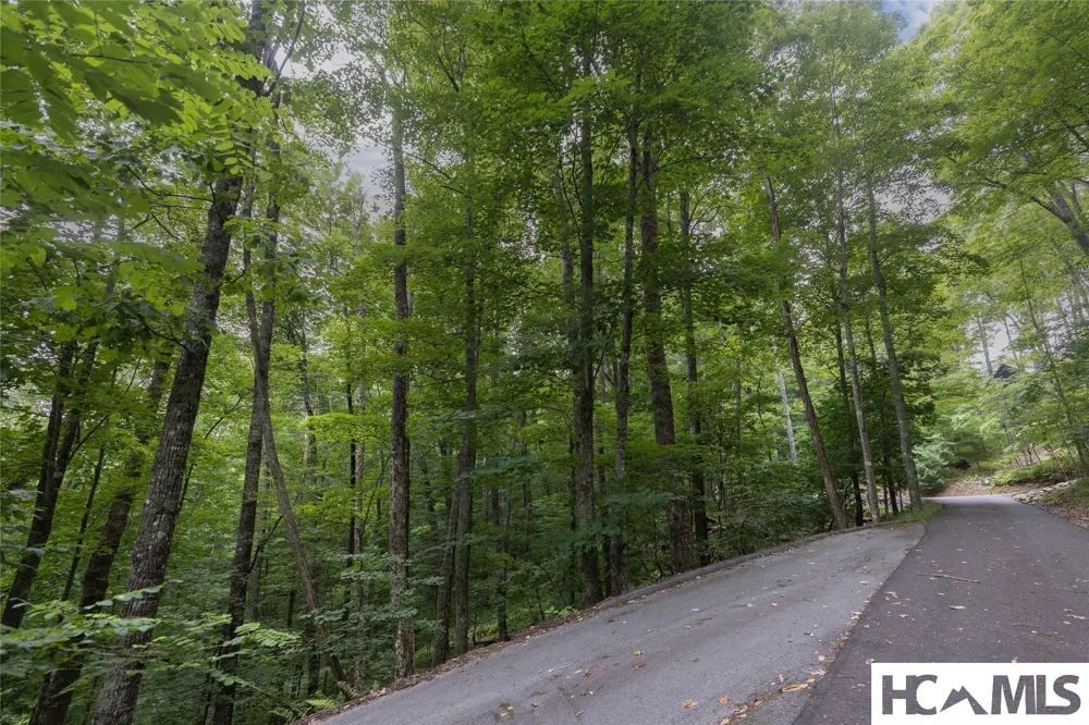 Lot 7 Sori Lane Sapphire, NC 28774