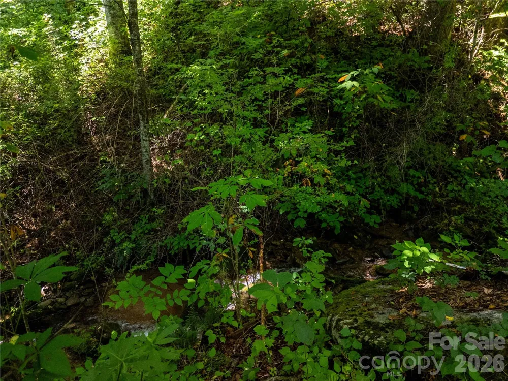 1249 Monteith Branch Road Sylva, NC 28779