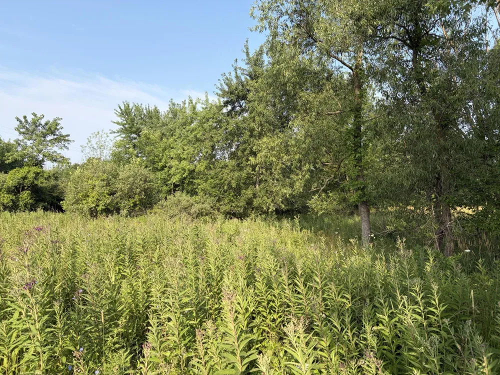 9653 52nd Avenue Allendale, MI 49401