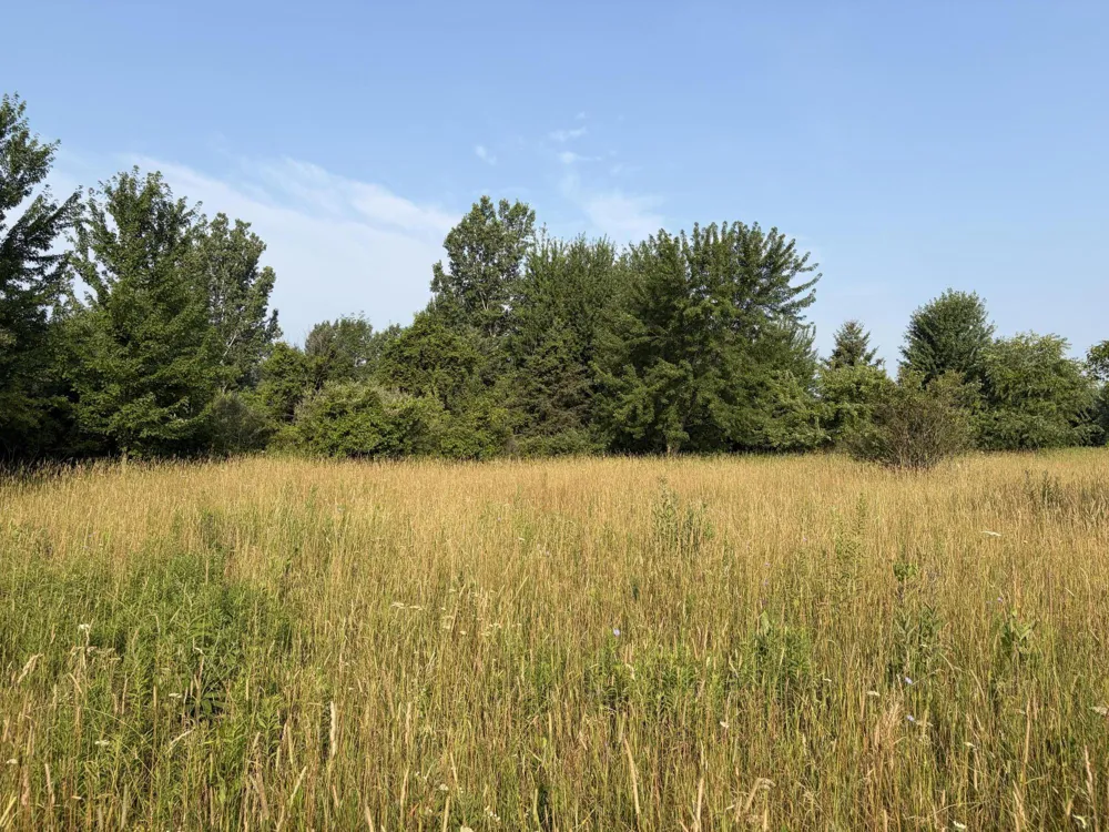 9653 52nd Avenue Allendale, MI 49401