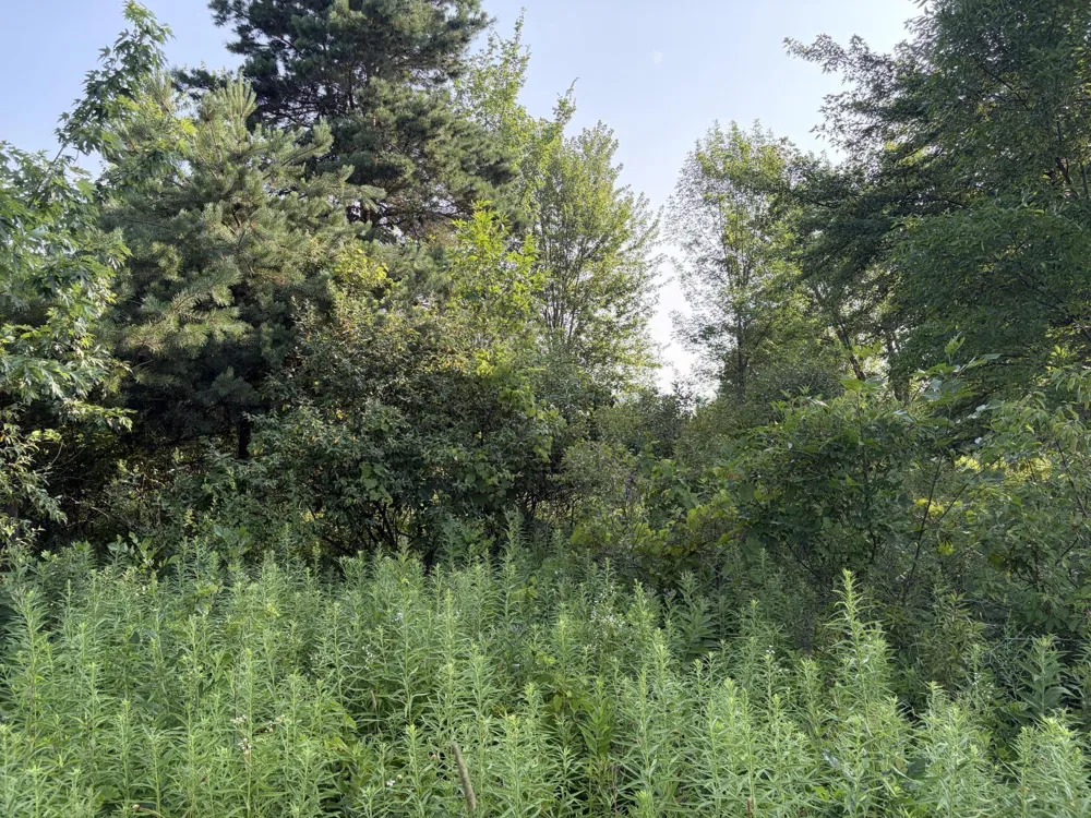 9653 52nd Avenue Allendale, MI 49401