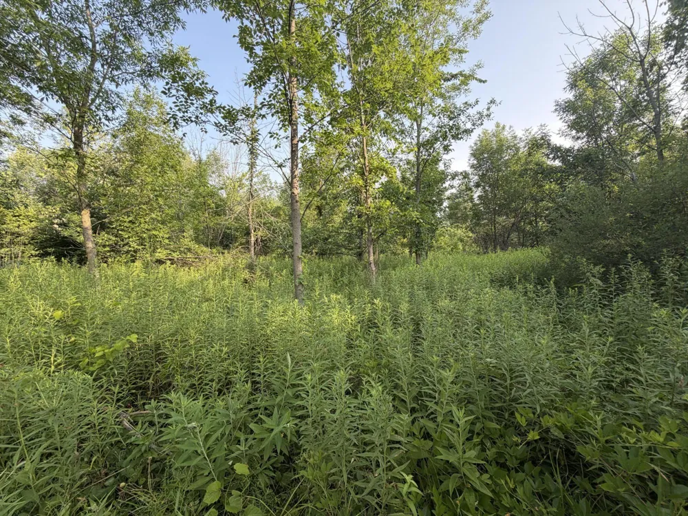 9653 52nd Avenue Allendale, MI 49401