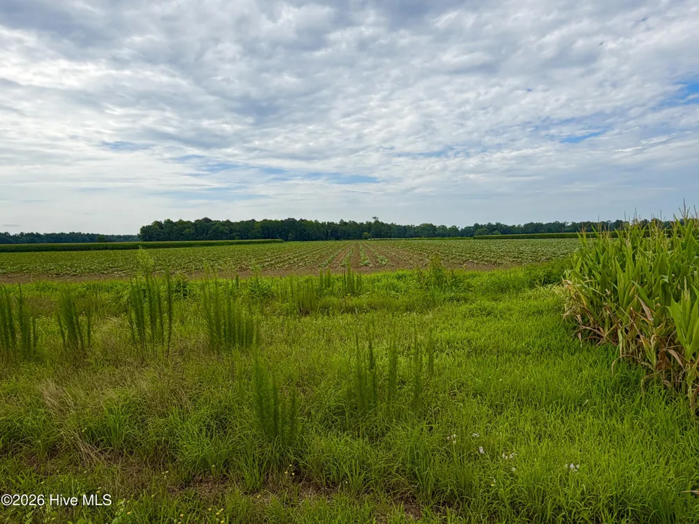 478 Davis Mill Road Fremont, NC 27830