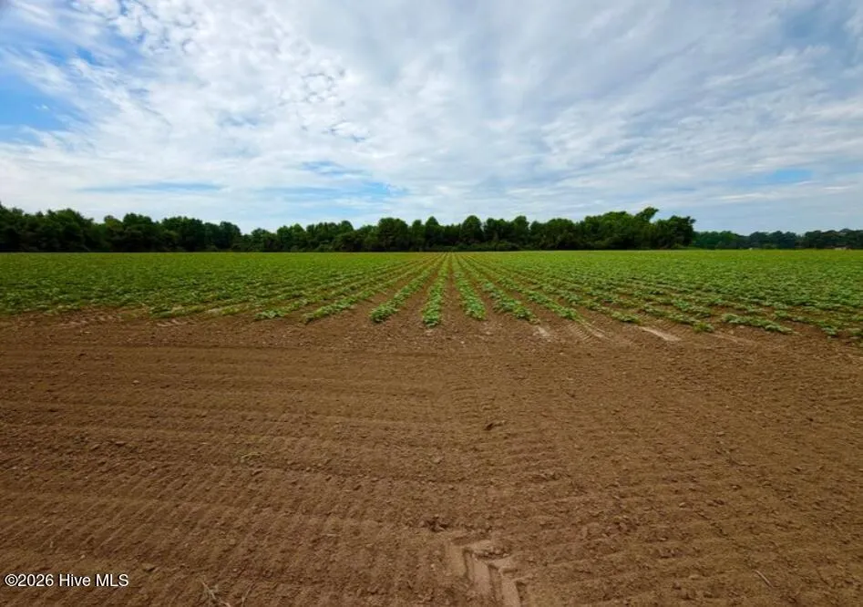 478 Davis Mill Road Fremont, NC 27830