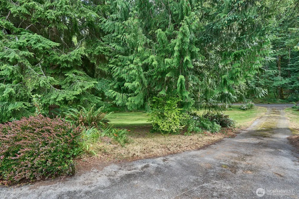 8209 144th Place SE Newcastle, WA 98059