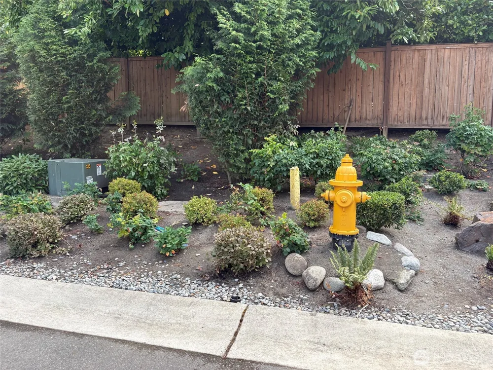 8209 144th Place SE Newcastle, WA 98059