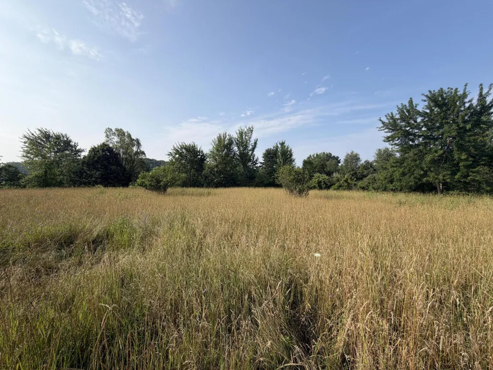 9653 52nd Avenue Allendale, MI 49401