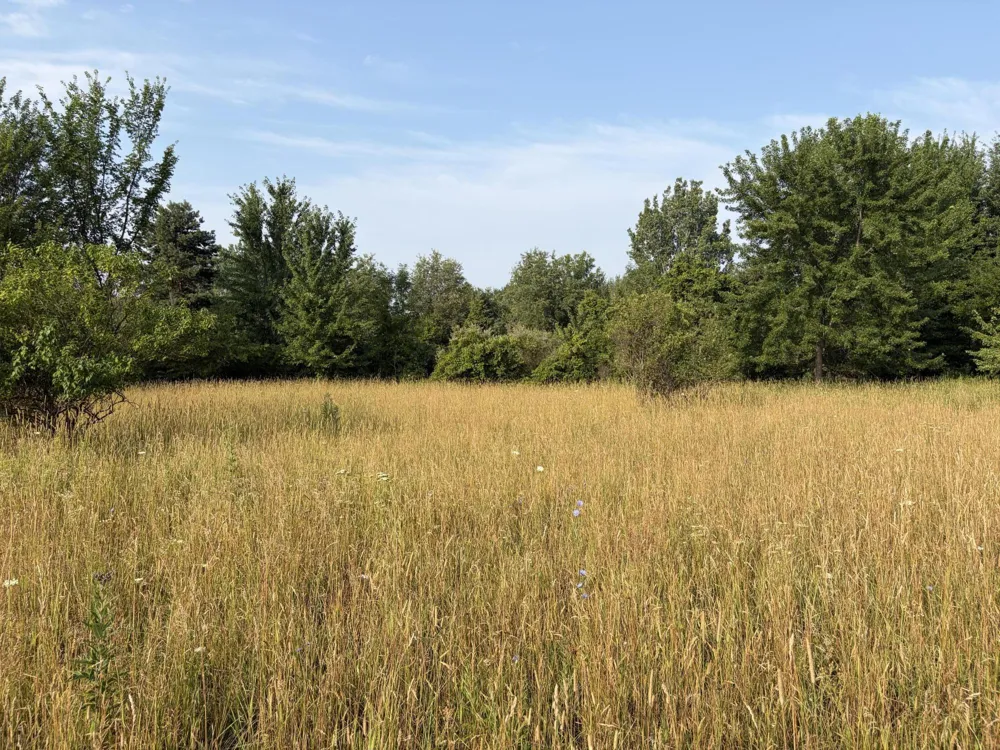 9653 52nd Avenue Allendale, MI 49401