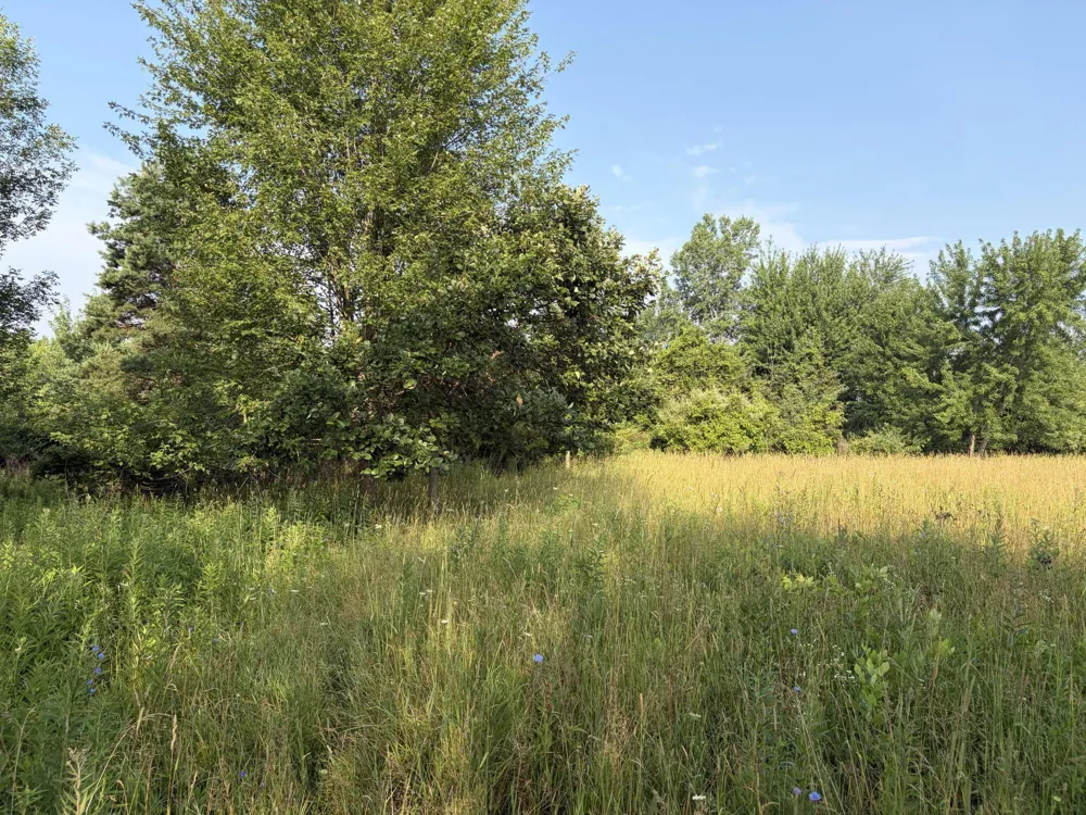 9653 52nd Avenue Allendale, MI 49401