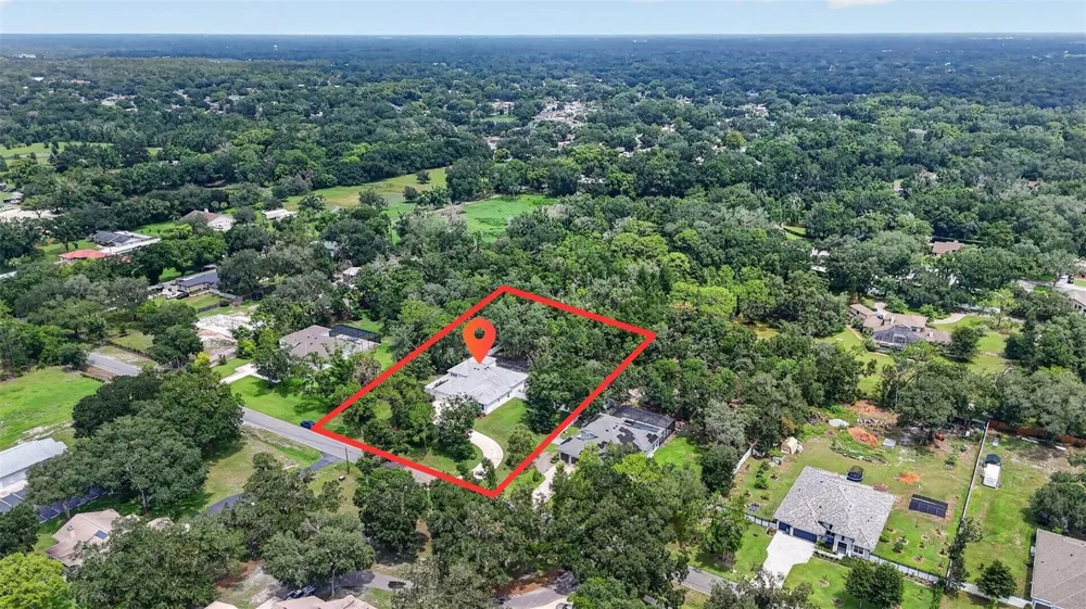2304 CLEMENT ROAD Lutz, FL 33549