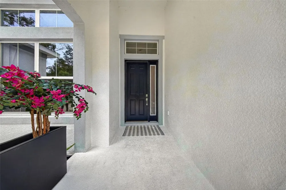 2304 CLEMENT ROAD Lutz, FL 33549