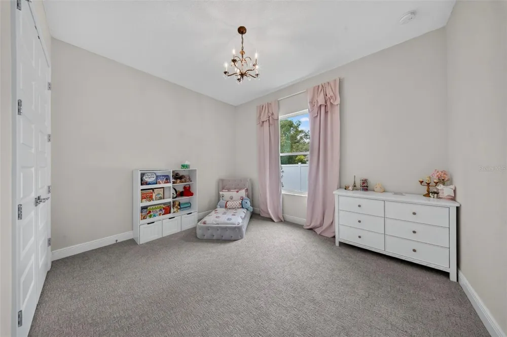 2304 CLEMENT ROAD Lutz, FL 33549