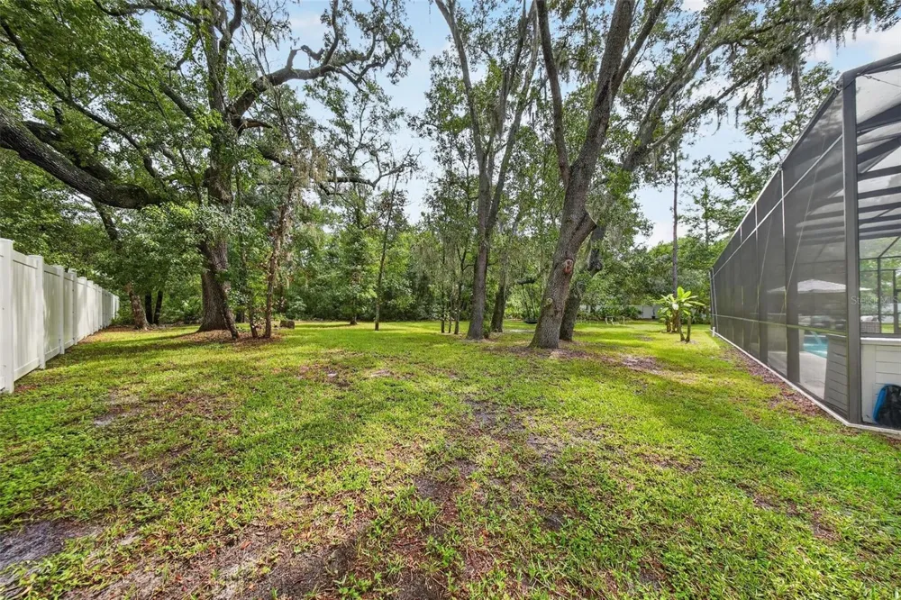 2304 CLEMENT ROAD Lutz, FL 33549