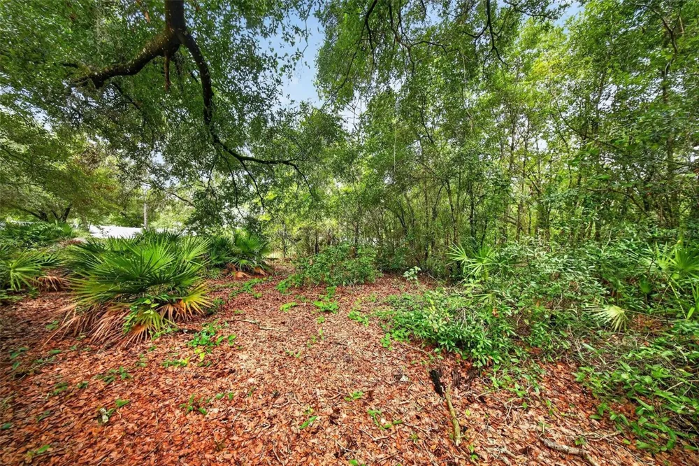 2304 CLEMENT ROAD Lutz, FL 33549