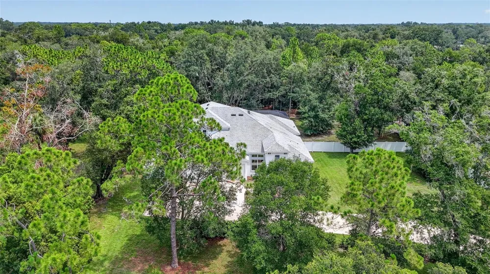 2304 CLEMENT ROAD Lutz, FL 33549
