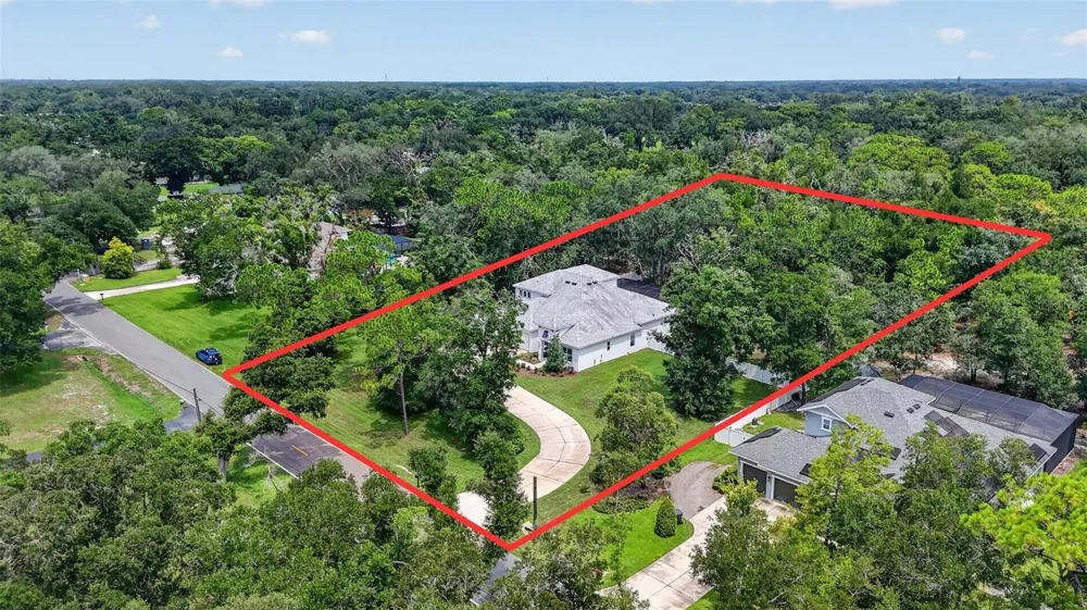 2304 CLEMENT ROAD Lutz, FL 33549