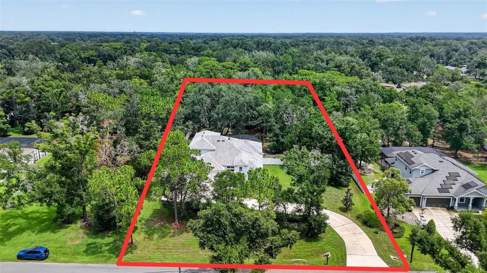 2304 CLEMENT ROAD Lutz, FL 33549