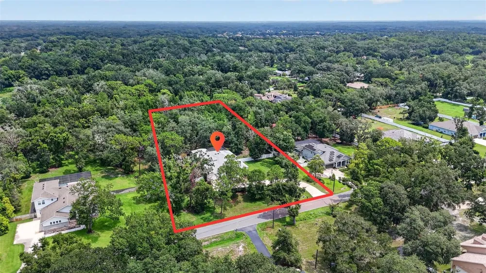 2304 CLEMENT ROAD Lutz, FL 33549