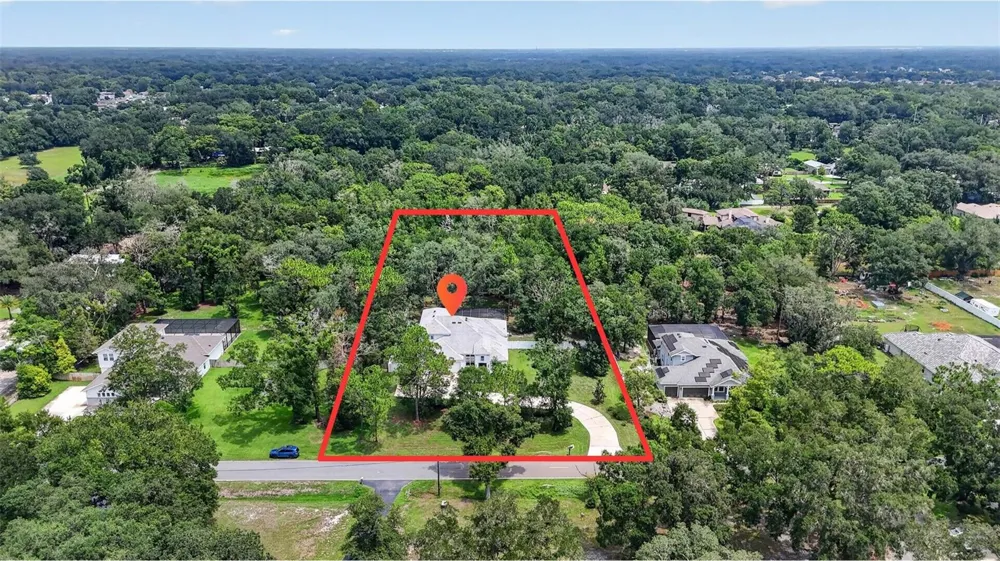 2304 CLEMENT ROAD Lutz, FL 33549