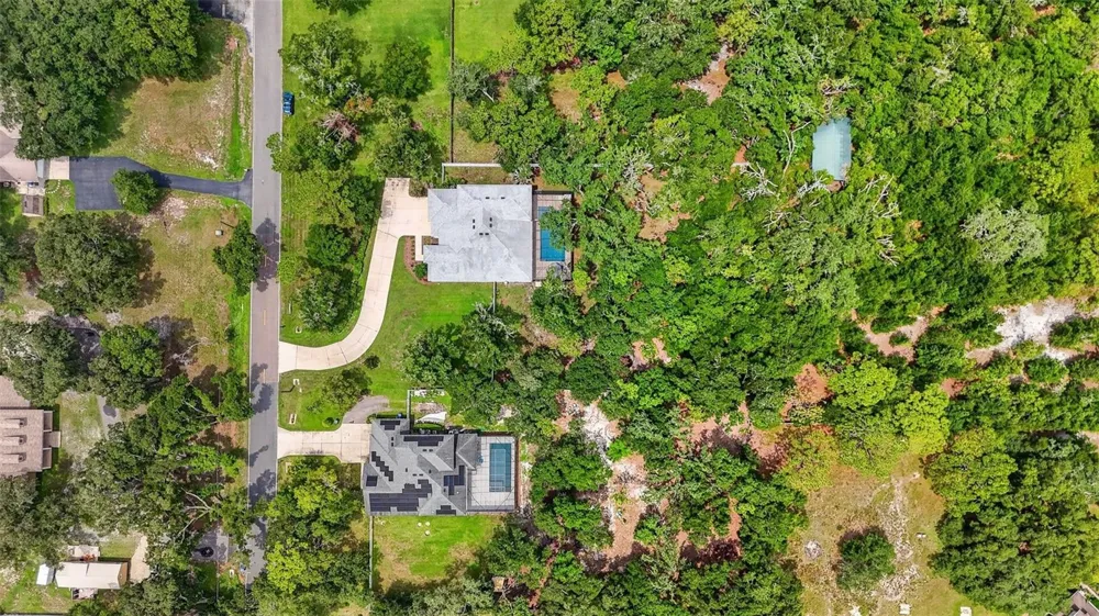 2304 CLEMENT ROAD Lutz, FL 33549