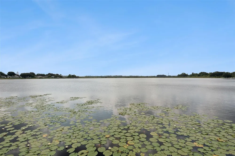 1324 KELLOGG DRIVE Tavares, FL 32778