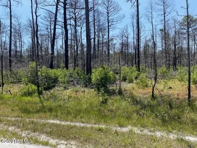 799 Jasmine Road Boiling Spring Lakes, NC 28461