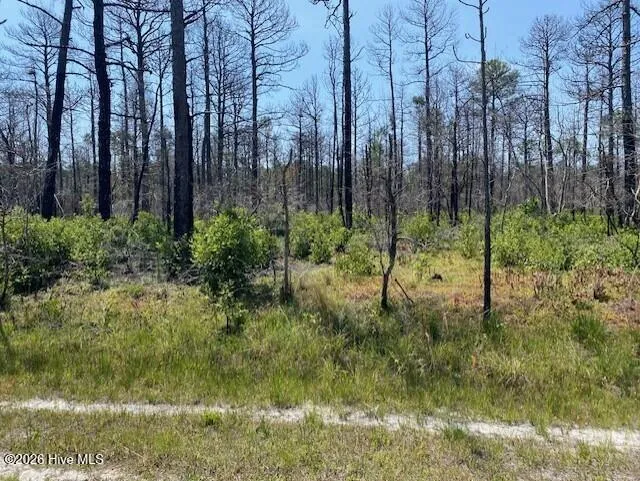 799 Jasmine Road Boiling Spring Lakes, NC 28461