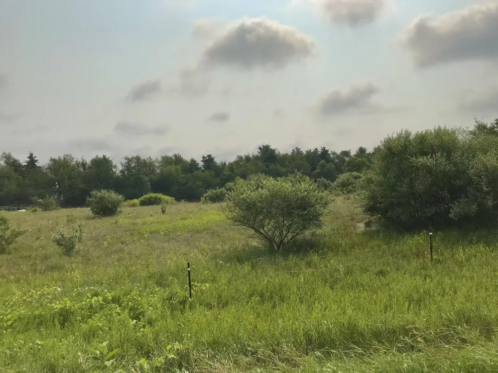 Buckhorn Road Three Rivers, MI 49093
