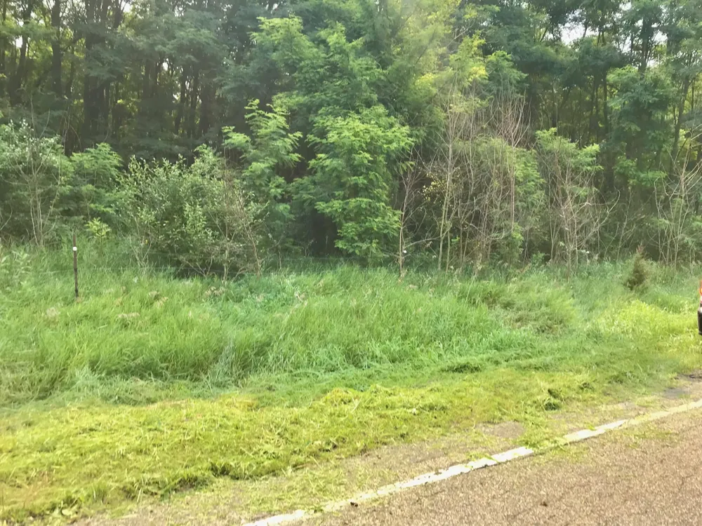 Buckhorn Road Three Rivers, MI 49093