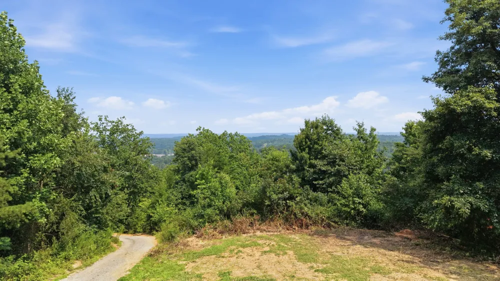 260 Riddle St Dayton, TN 37321