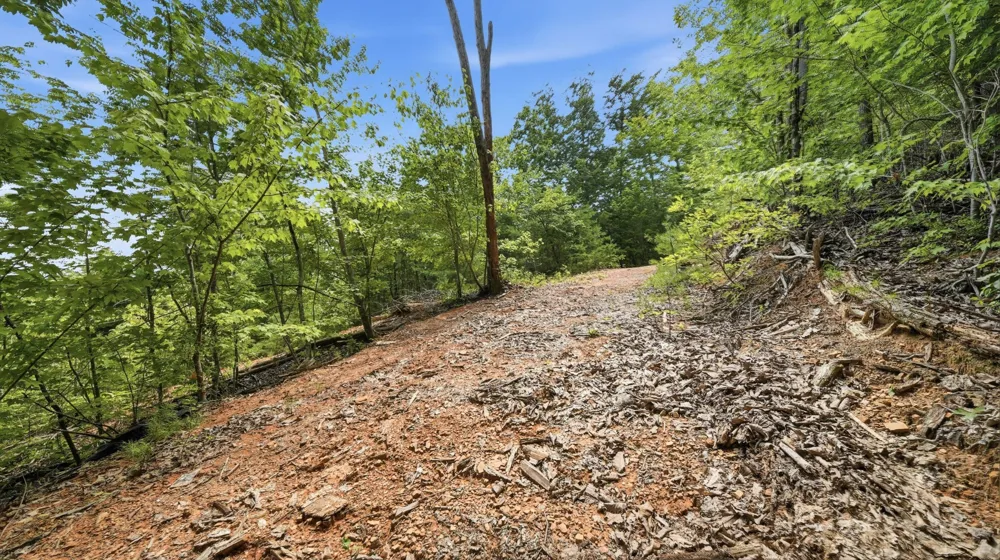 260 Riddle St Dayton, TN 37321